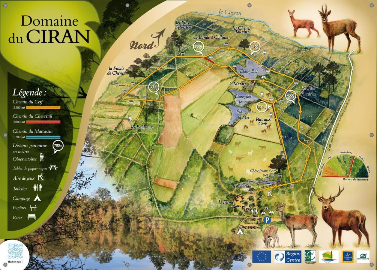 Le Cocoon D'Annabelle - Jolie Maison Avec Jeux Et Grand Jardin Pierrefitte-sur-Sauldre Exteriér fotografie
